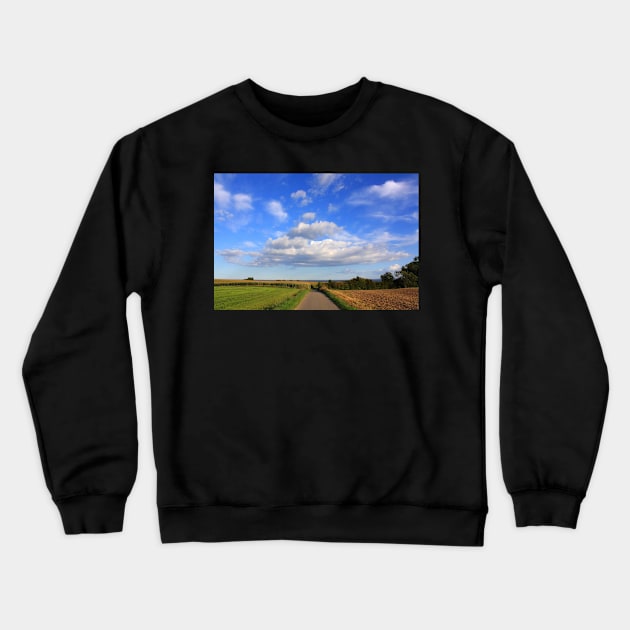 Path between the fields Crewneck Sweatshirt by SteffaniLehmann